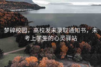 夢(mèng)碎校園，高校發(fā)未錄取通知書(shū)，未考上學(xué)生的心靈驛站